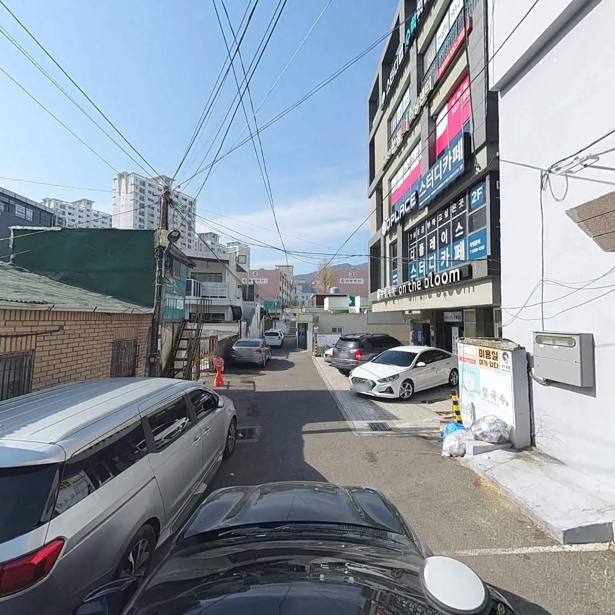 봄여름과일겨울_4