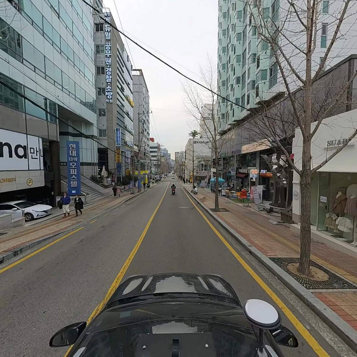수아르_4