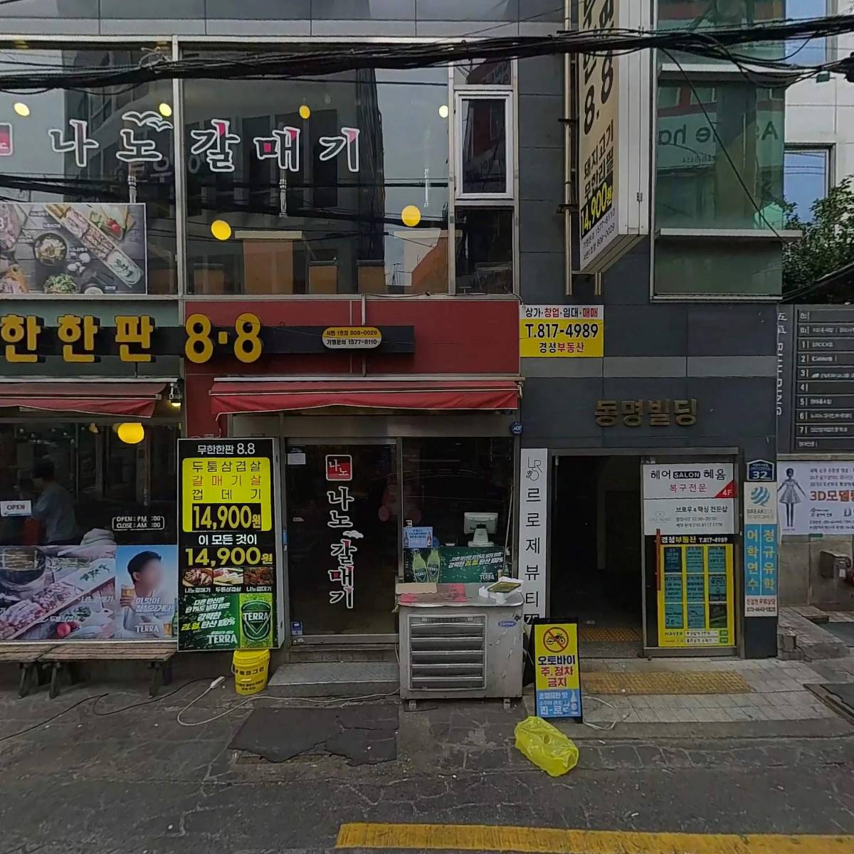 나노갈매기_3