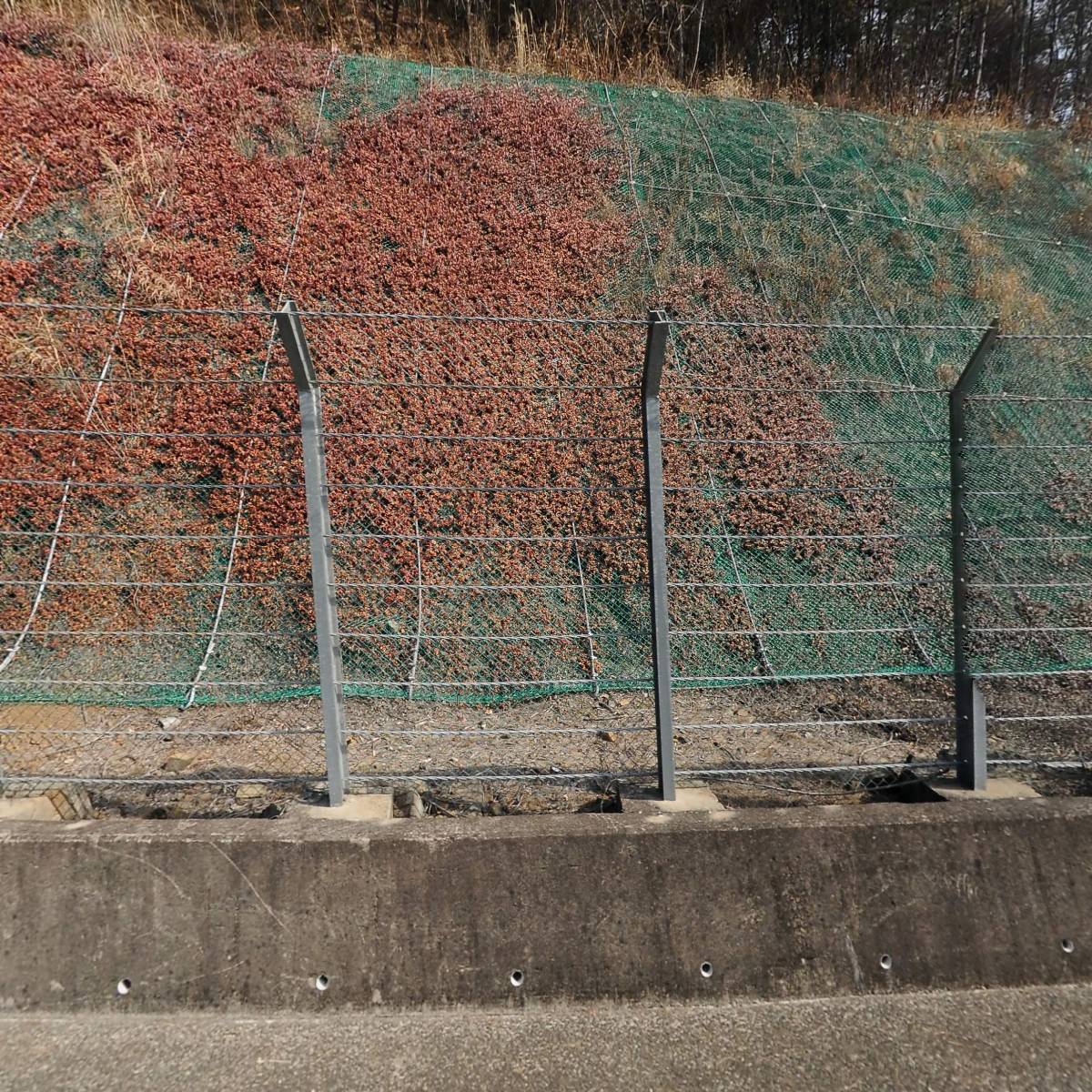 전만수 부동산