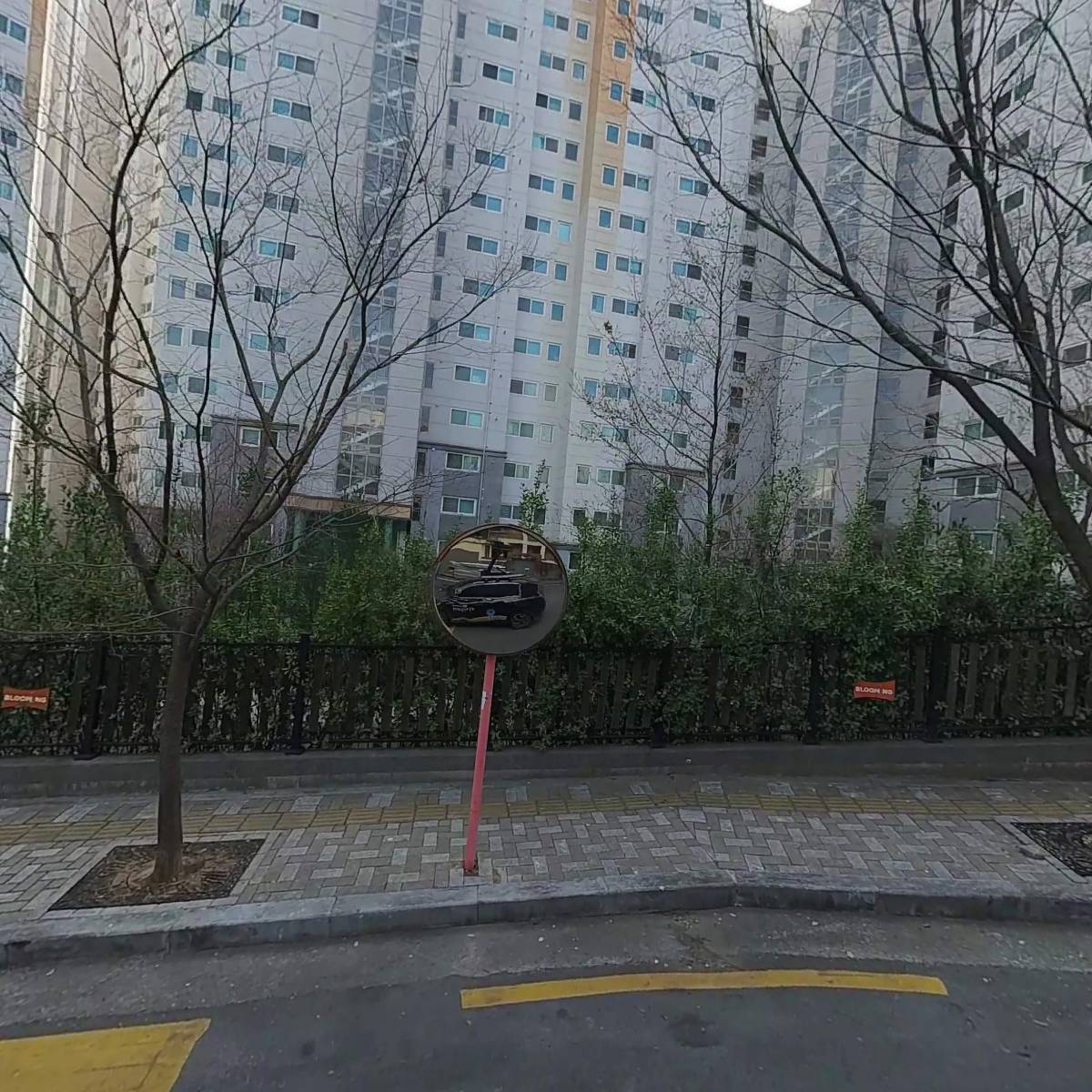알엔에이코리아