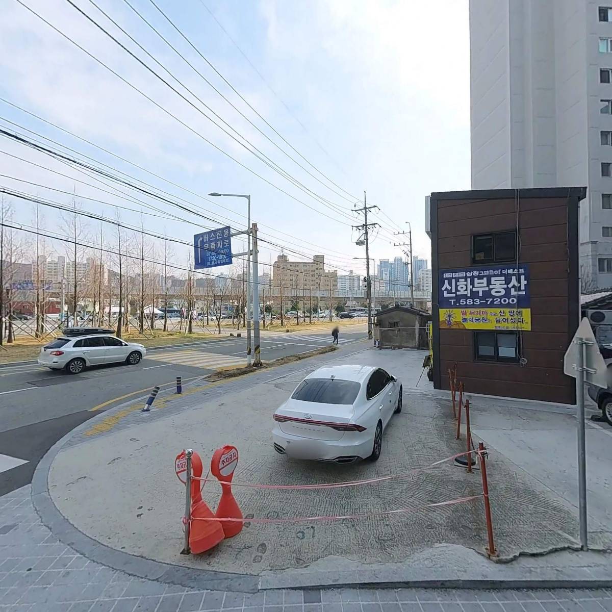 보담동물의료센터_3