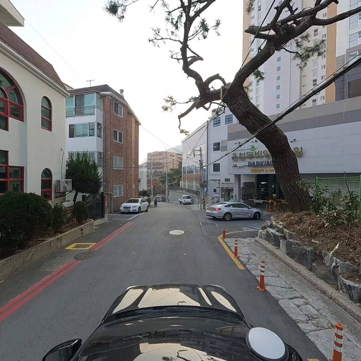 동래새싹유치원_4