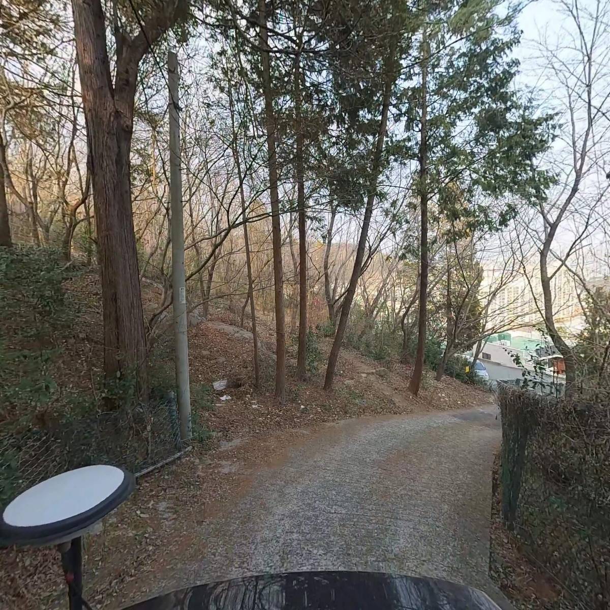 화엄사_2