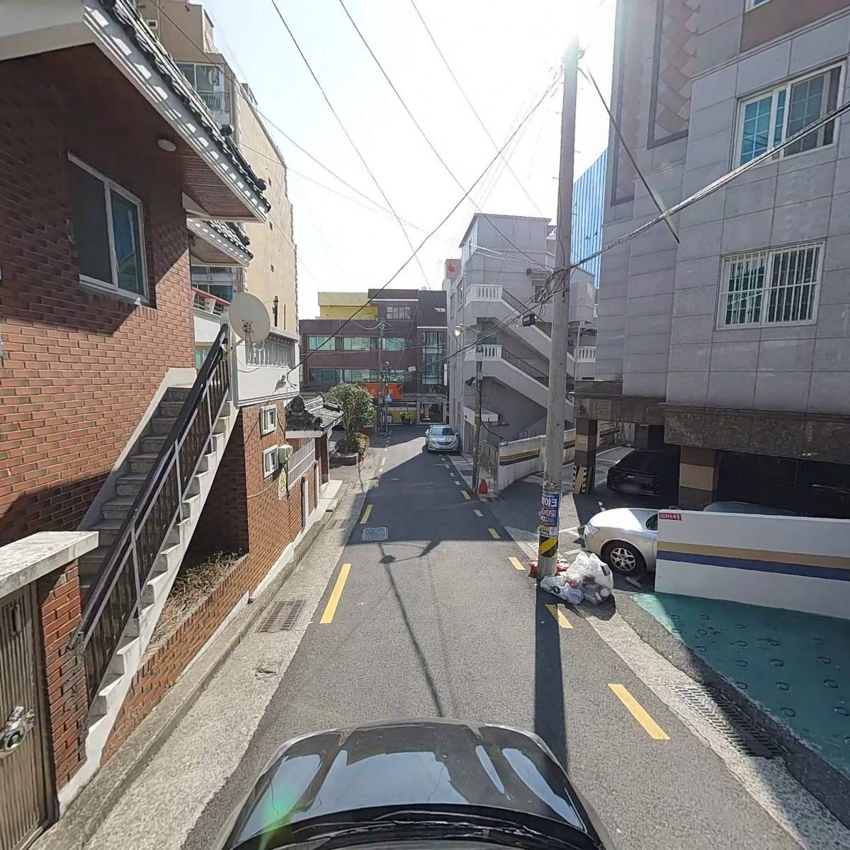 라니_4