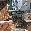 라니_3