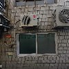 미송초밥