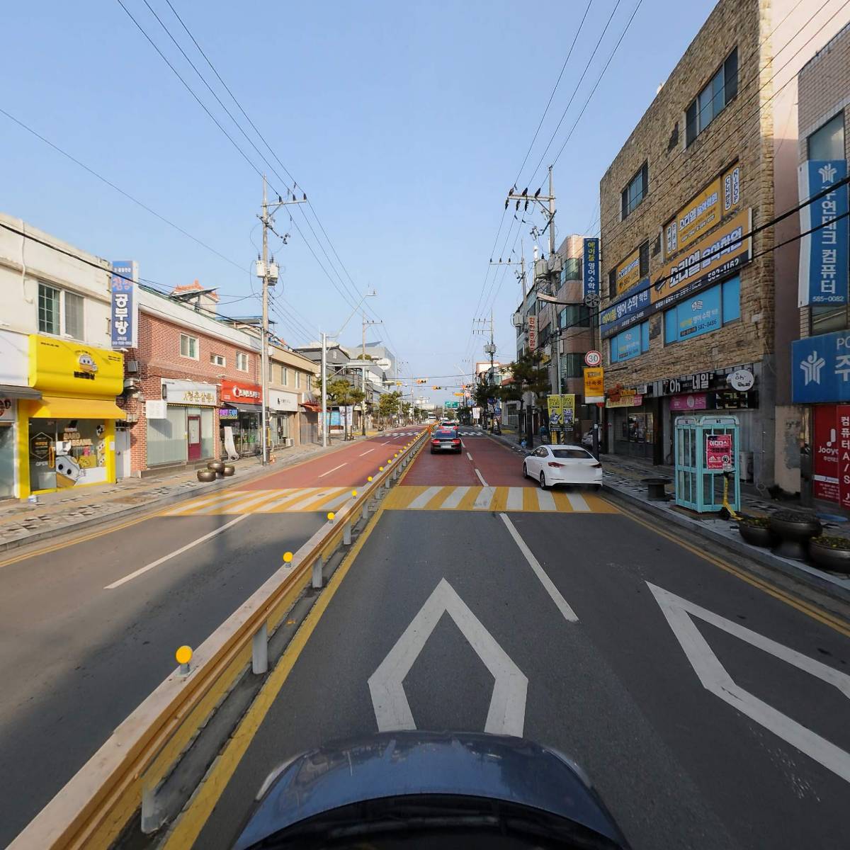 대농종묘농약 팜마트_4