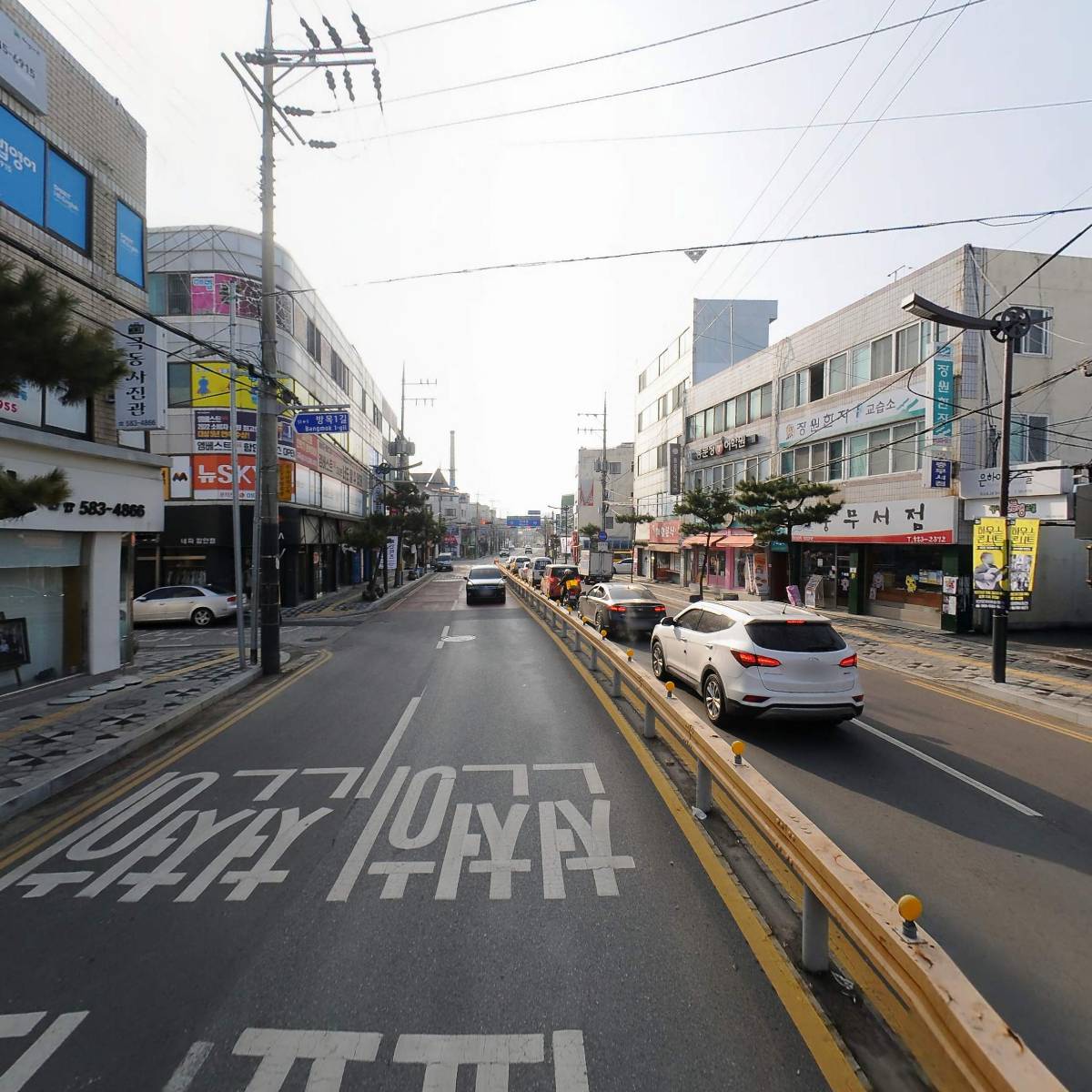 대농종묘농약 팜마트_2