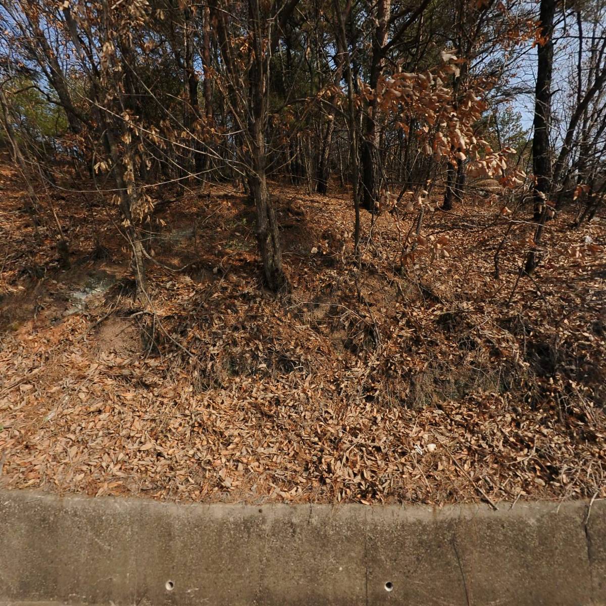 한성정공