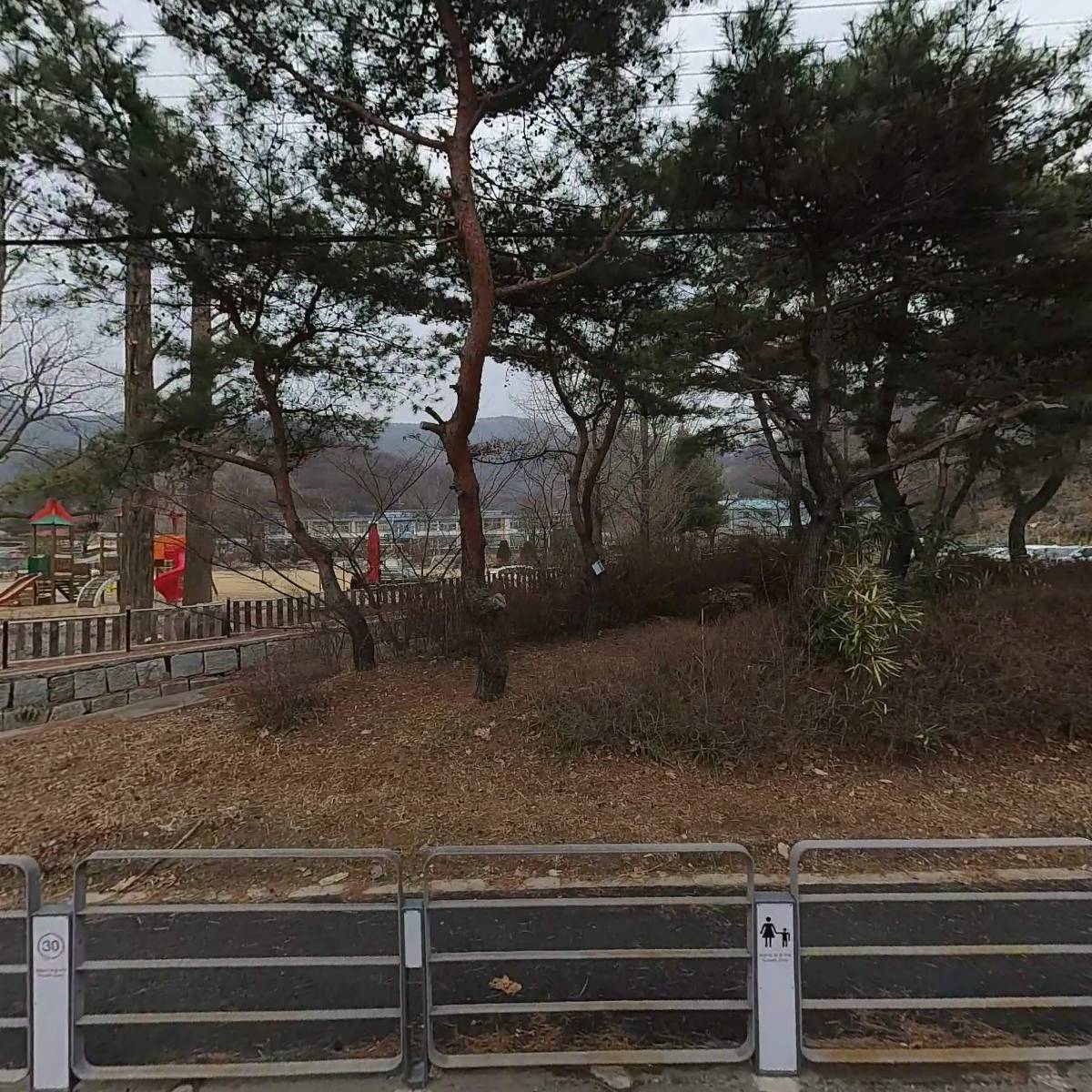 (주)세이피드