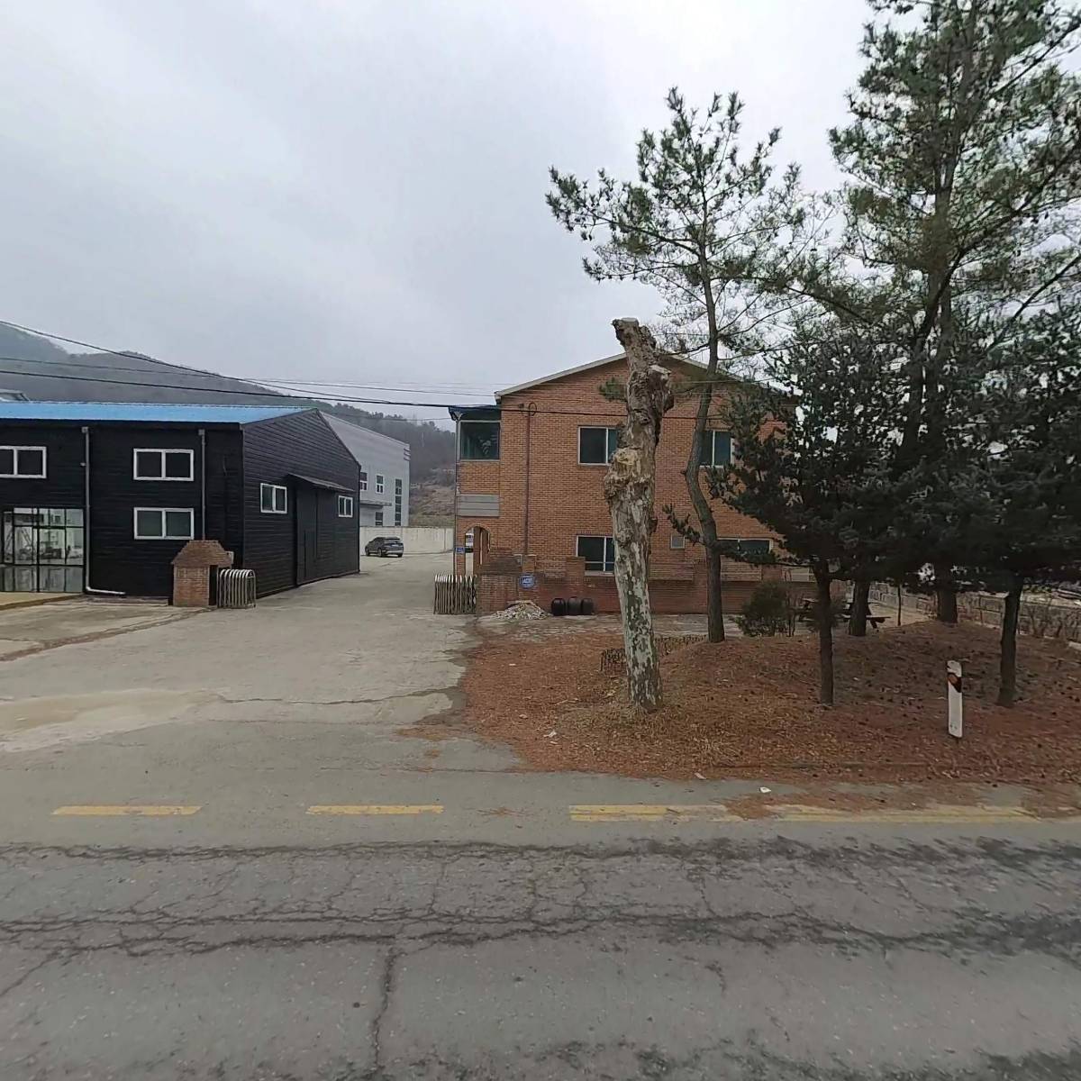 (주)세이피드_3