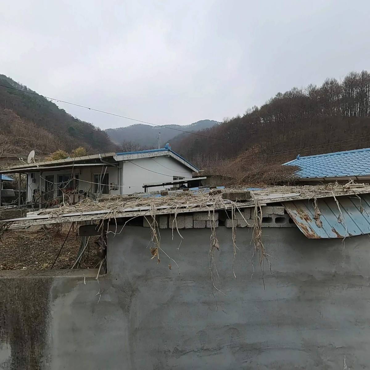 만인산 농원_3