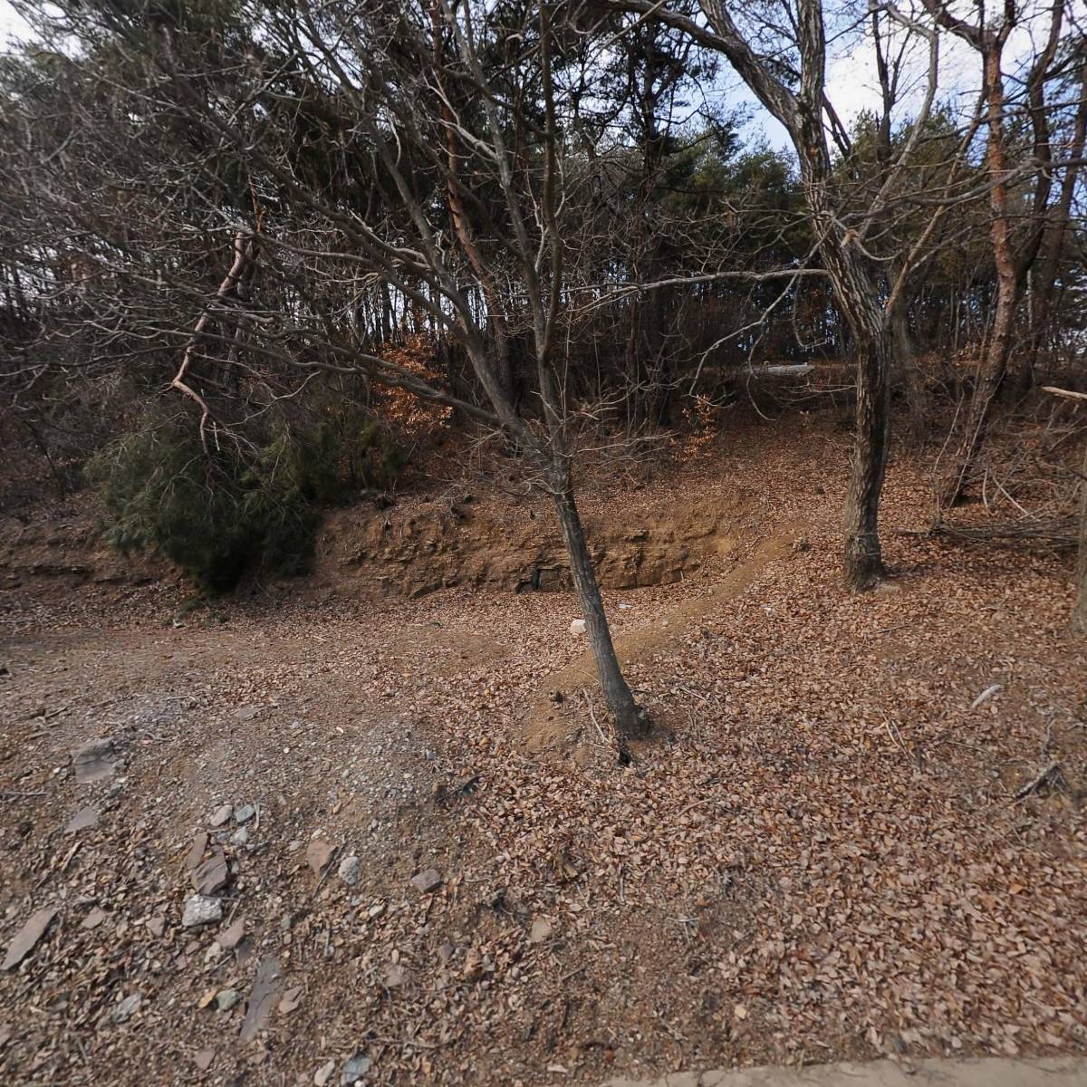 어메이징파크(주)함안