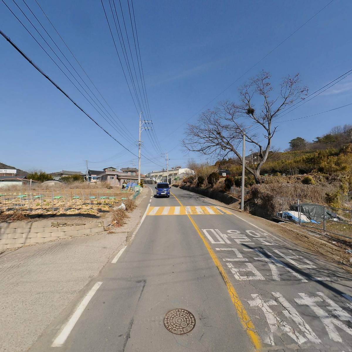 안고집_2