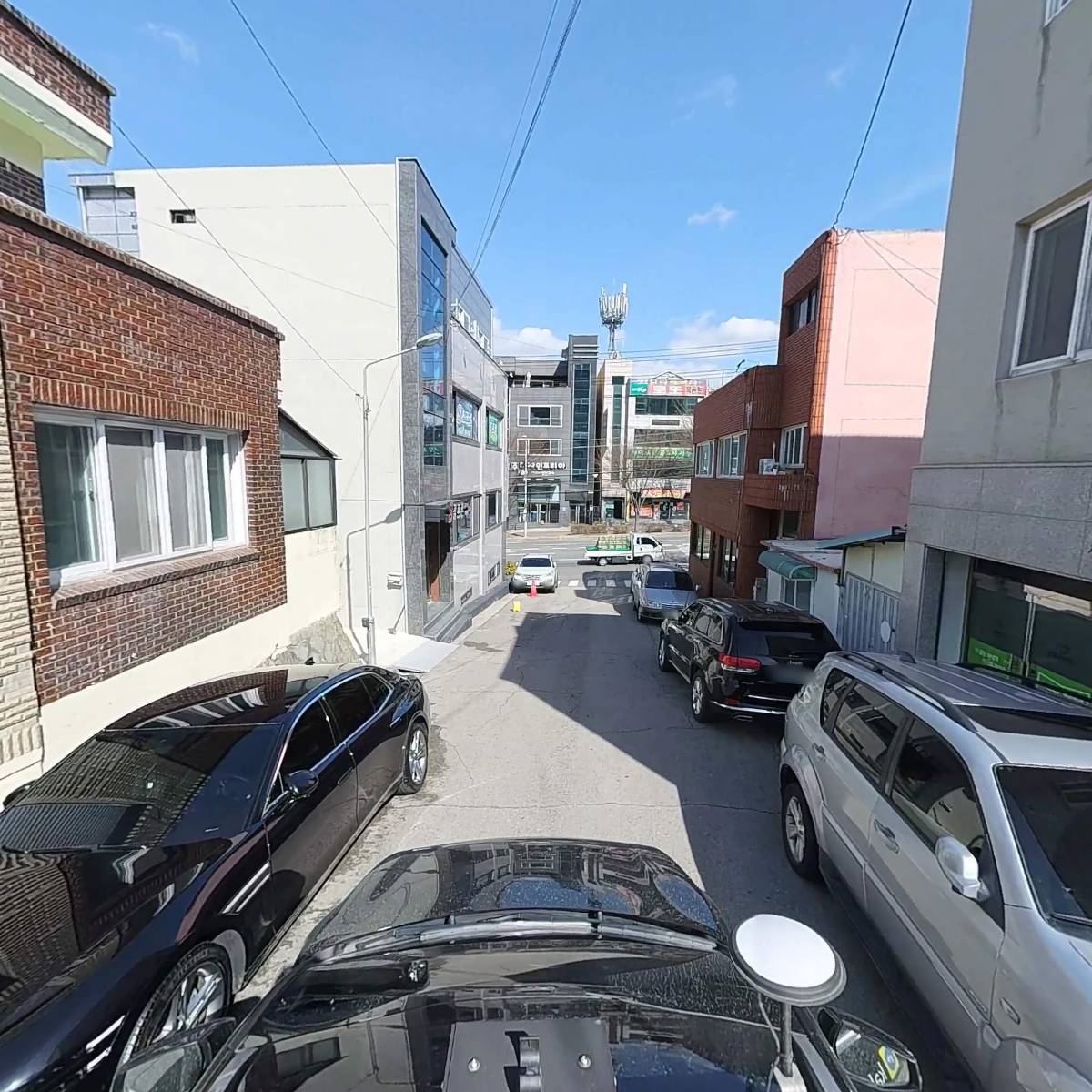 노송_4