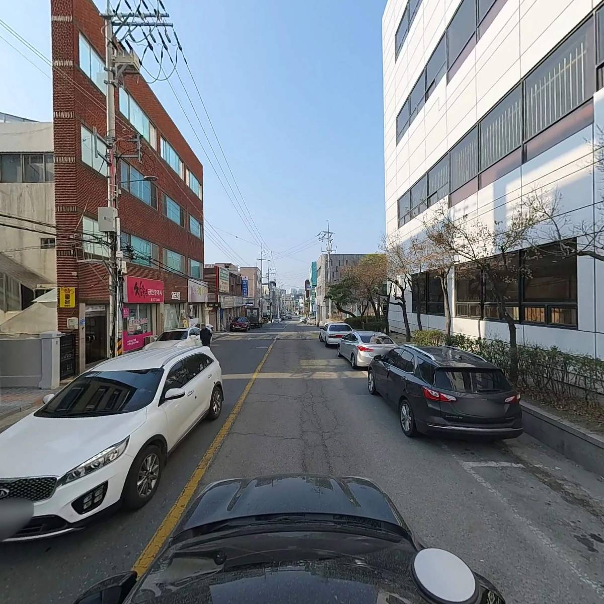 파충류샵 낭게코_4