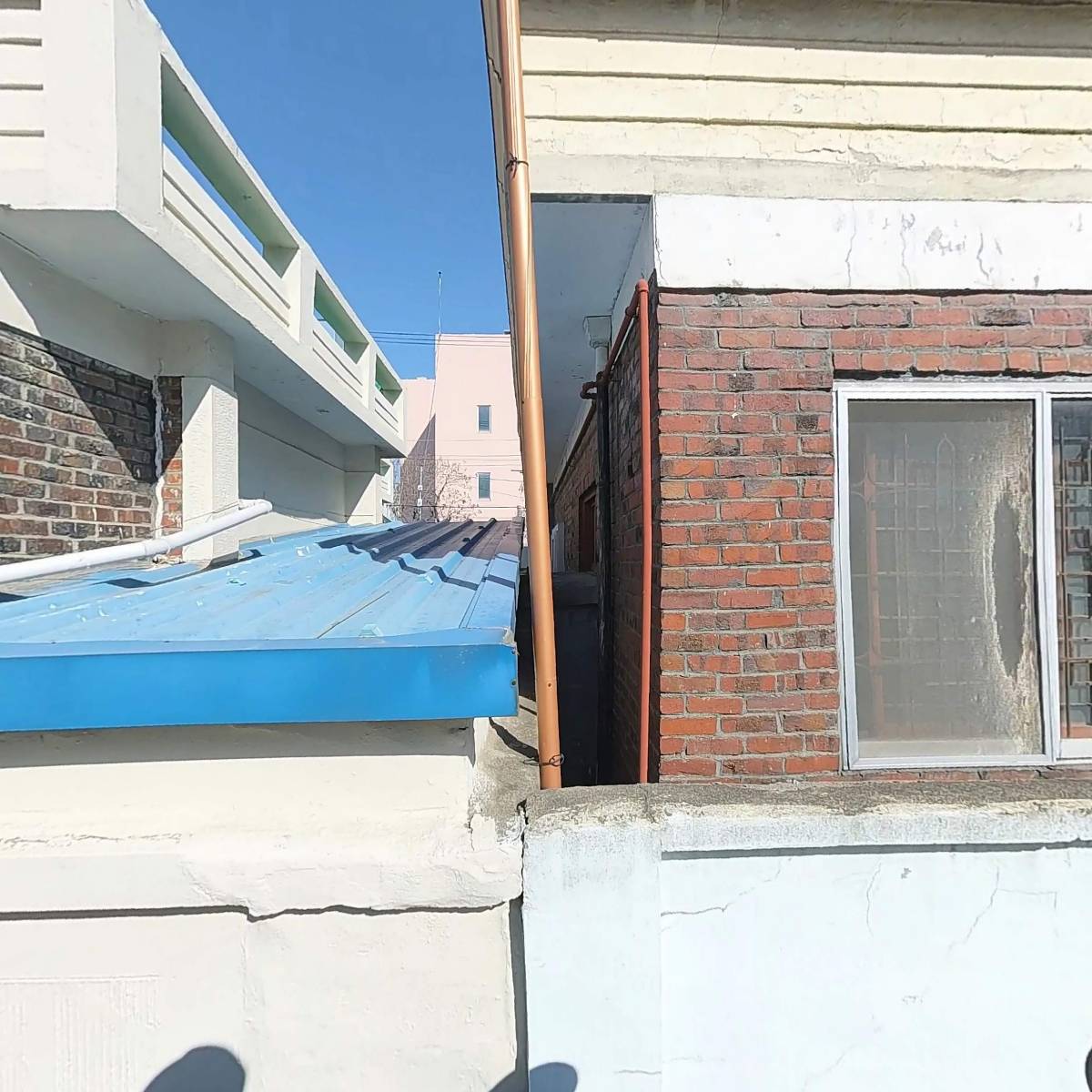 바르게살기운동 대전광역시협의회