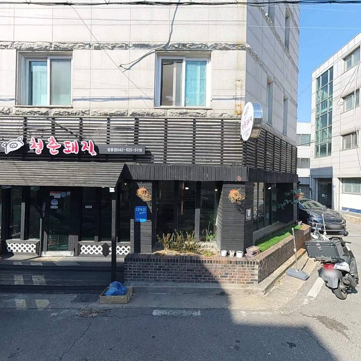 청춘돼지_3