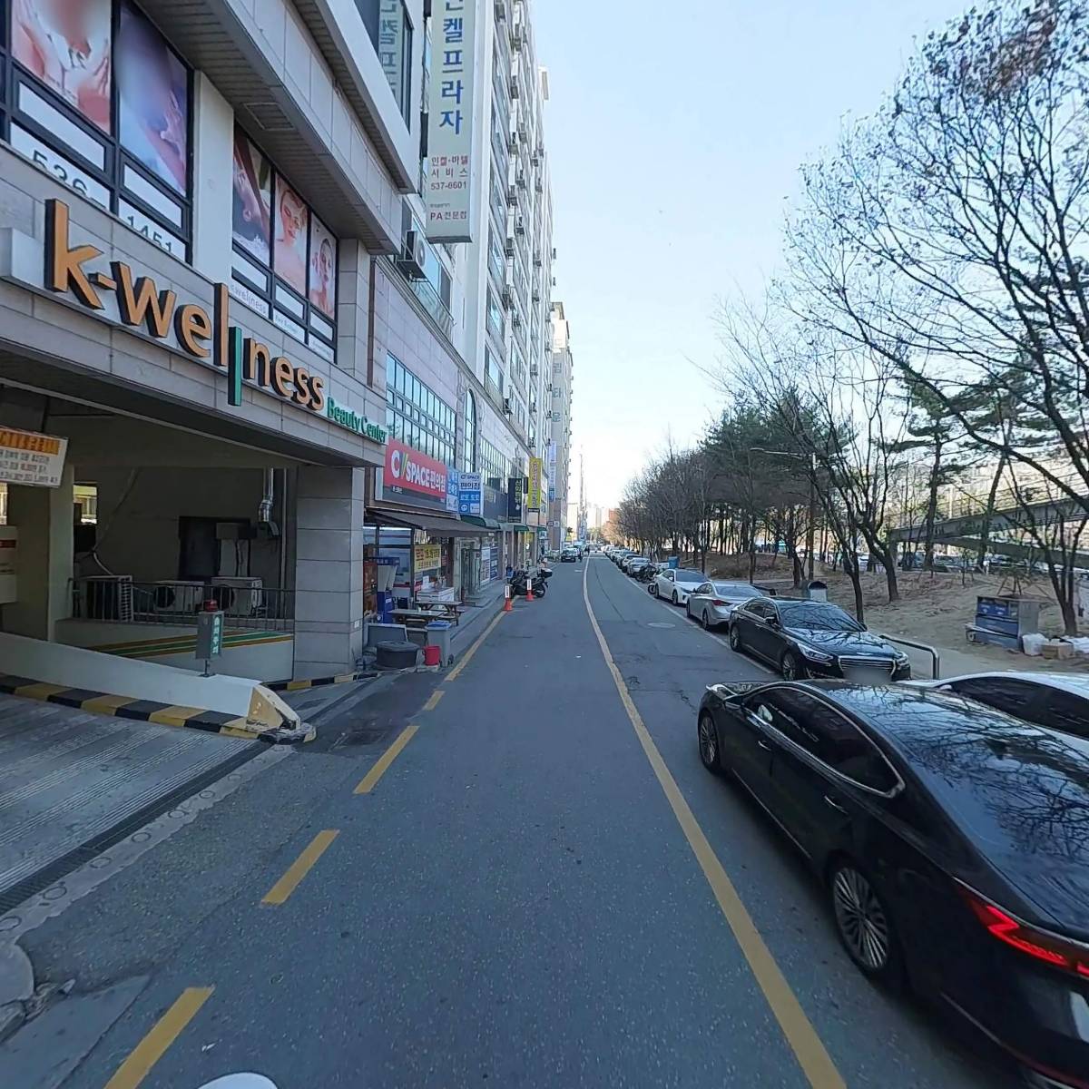 베누스_2