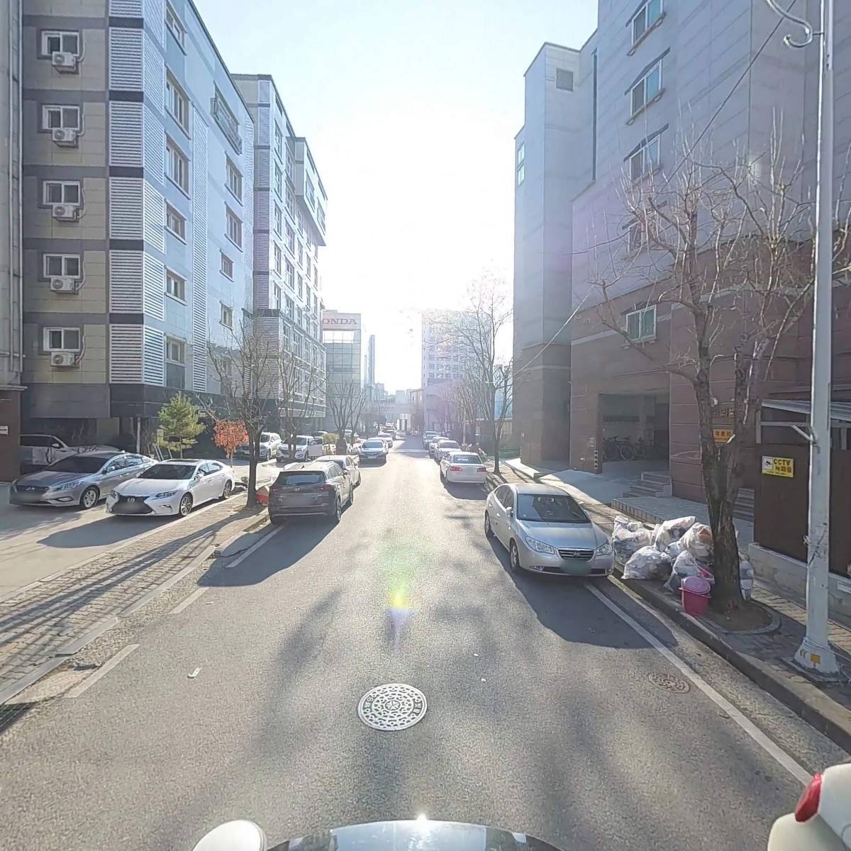 펜타빌_2