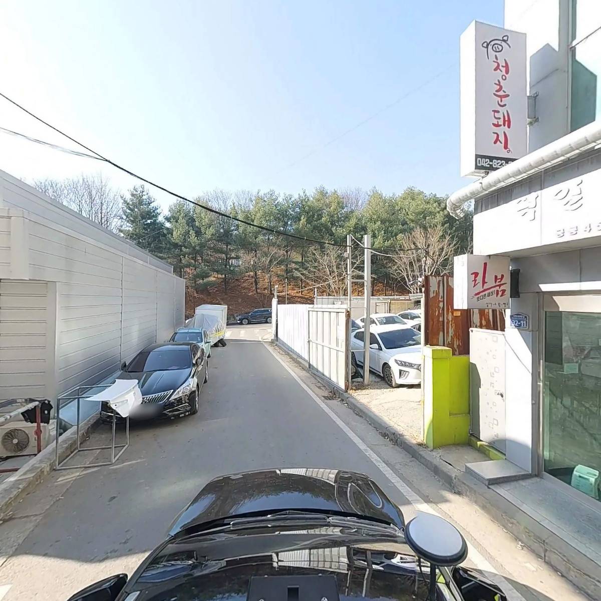 청춘돼지_4