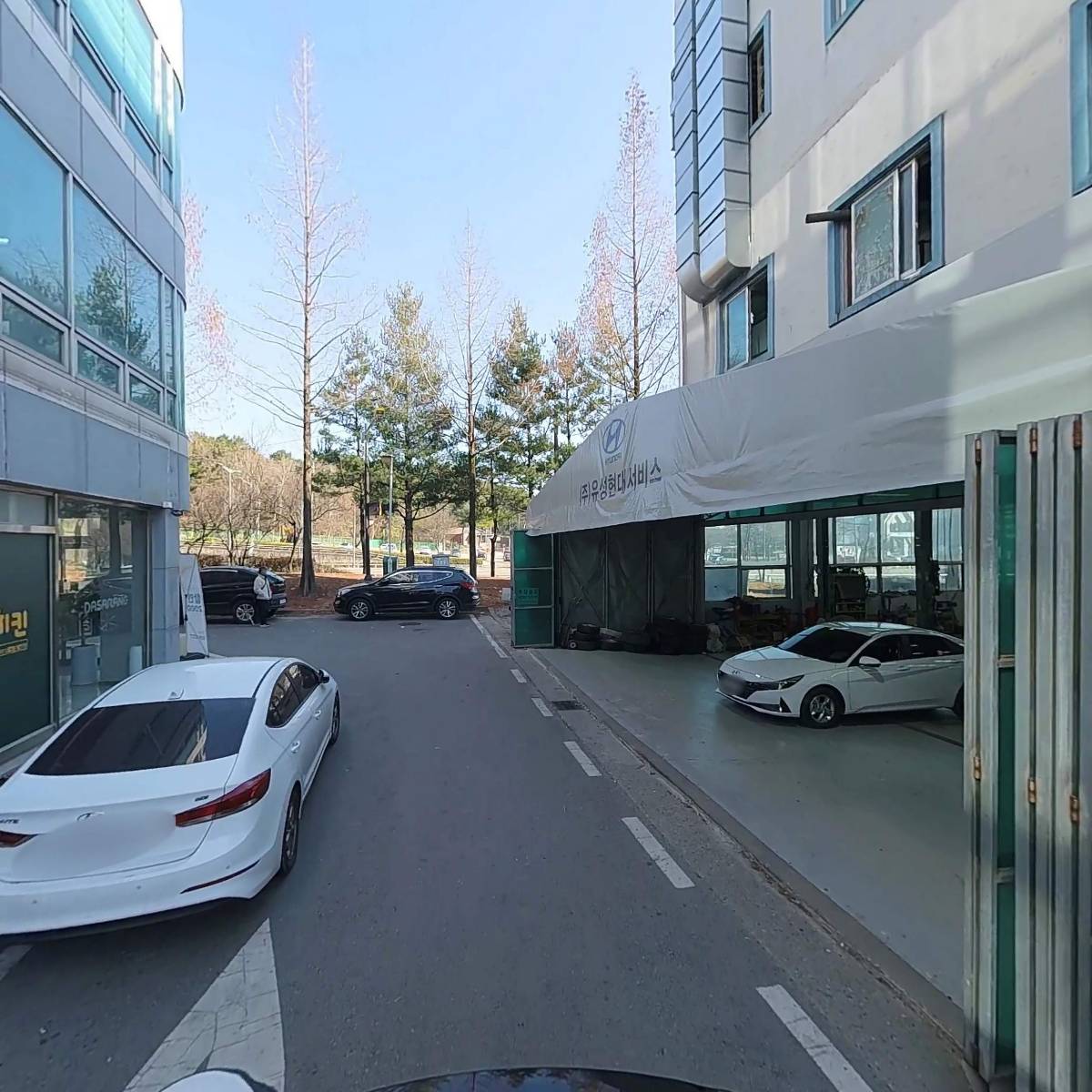 청춘돼지_2