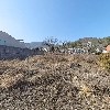주식회사 폴라베어