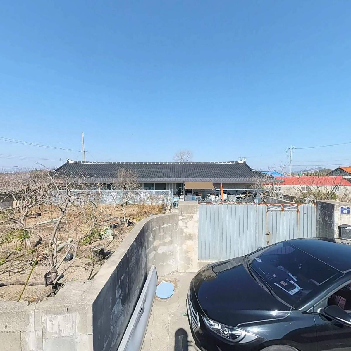 새 애양약국