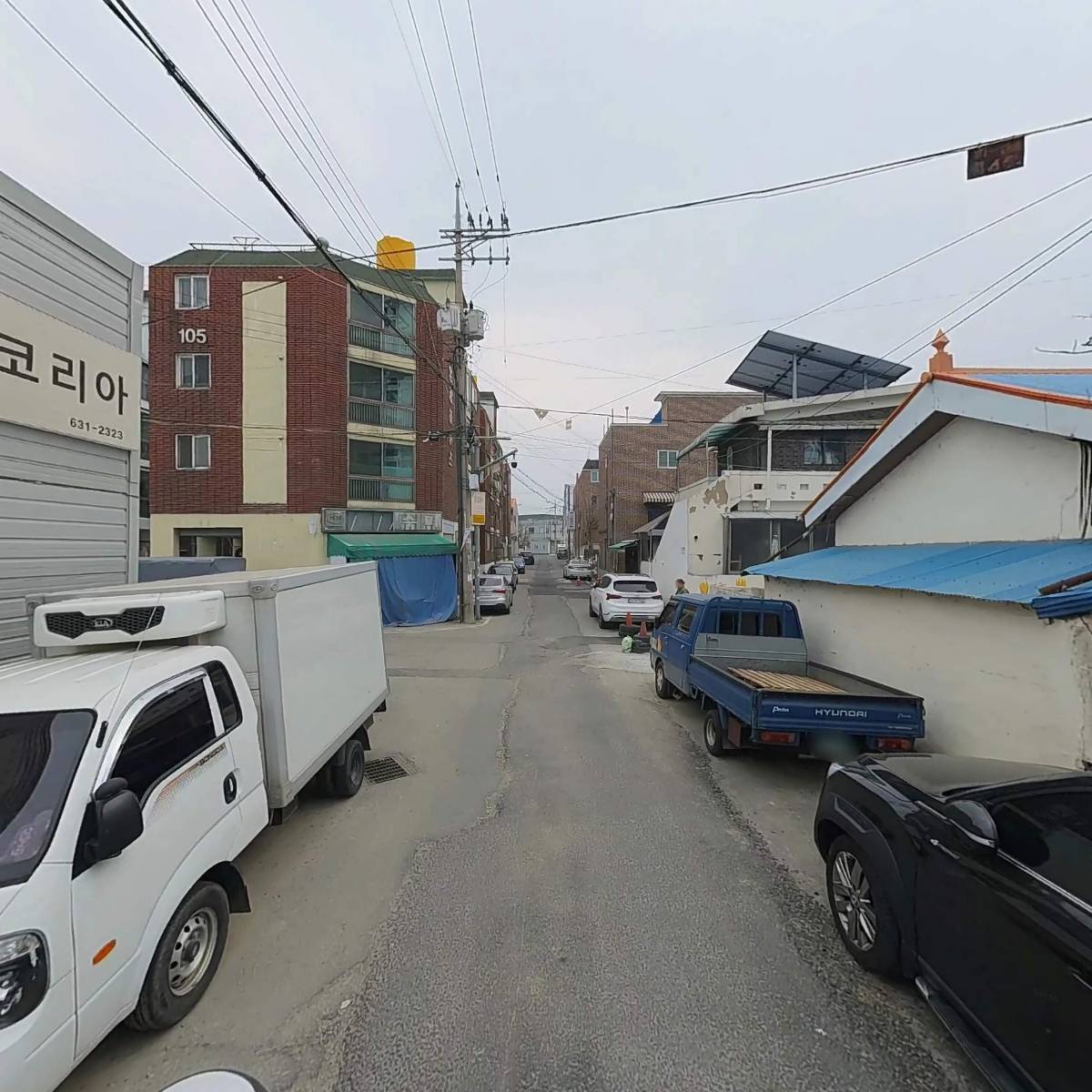 금강루퍼스_2