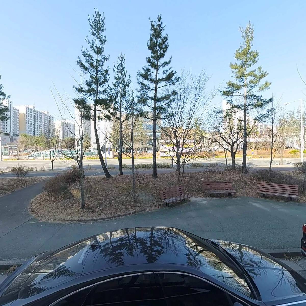 메디스타