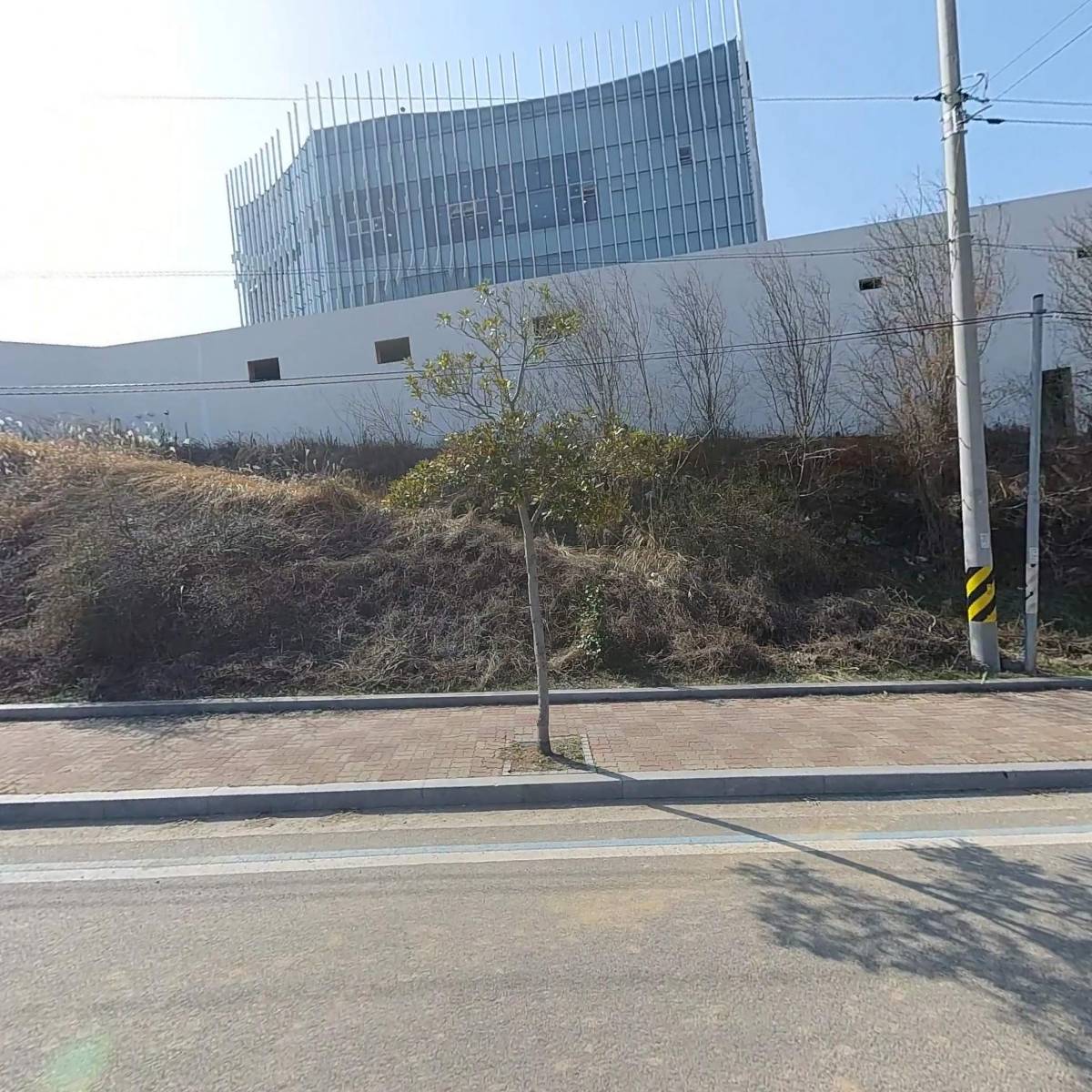 주식회사 볼락스