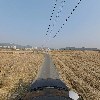 샤론농원_4