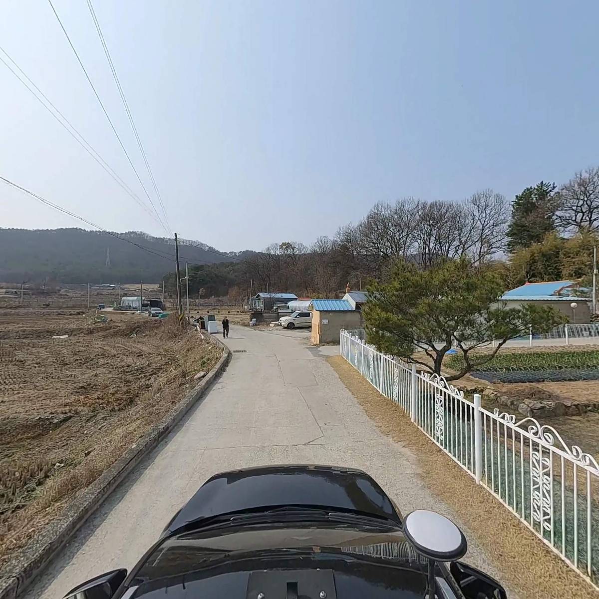 하늘꽃_4