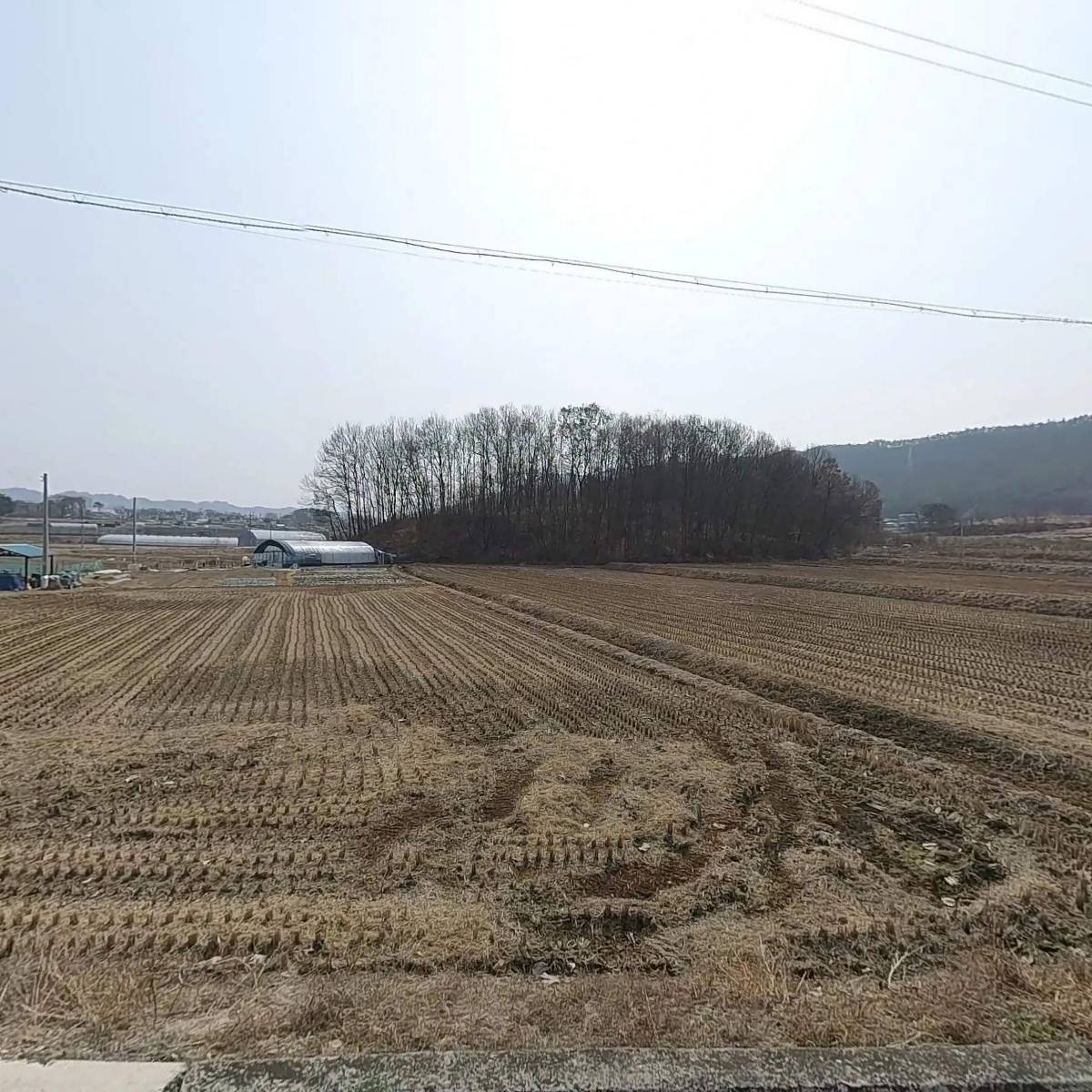 하늘꽃_3