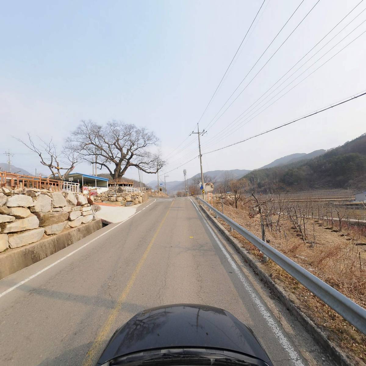 느티나무농장_4