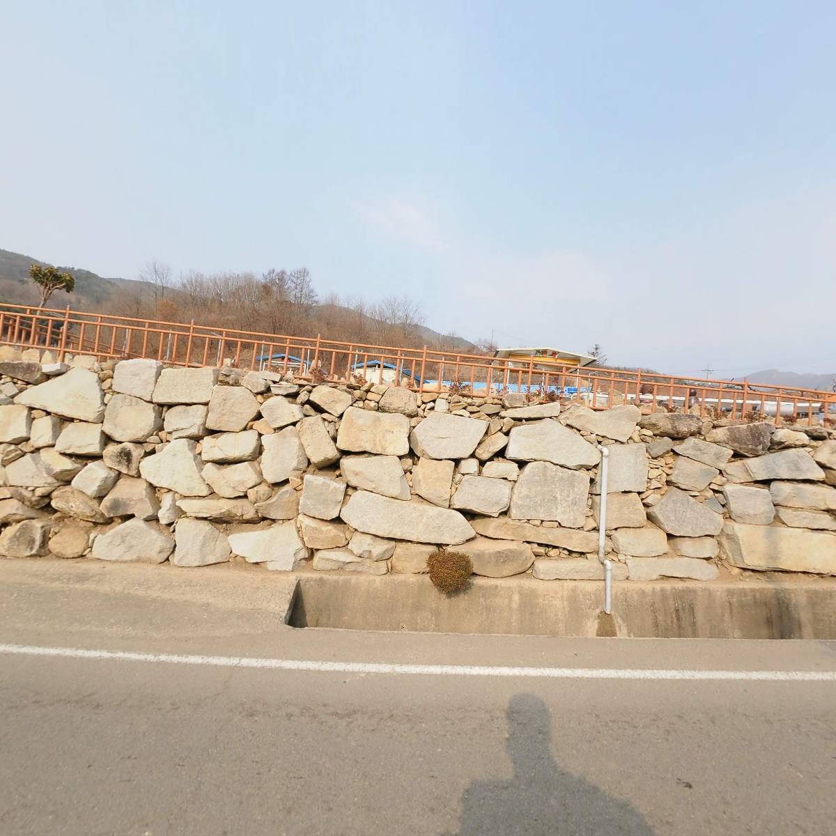 느티나무농장_3