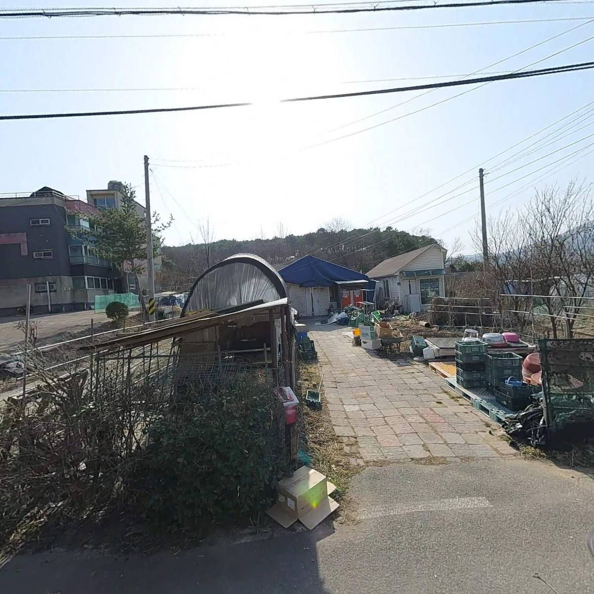그린건강기능식품