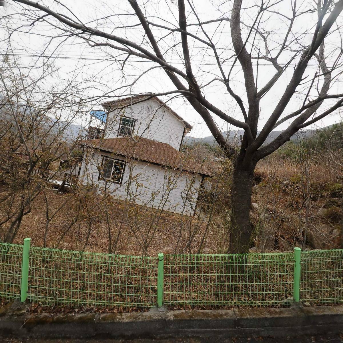 돌꽃담_3