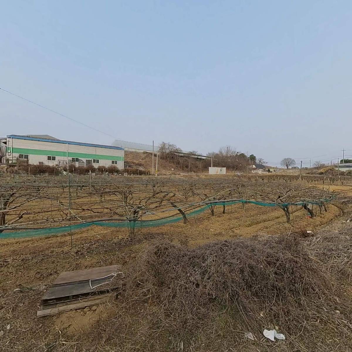 베이스볼트레이닝스쿨(B.T.S)_3