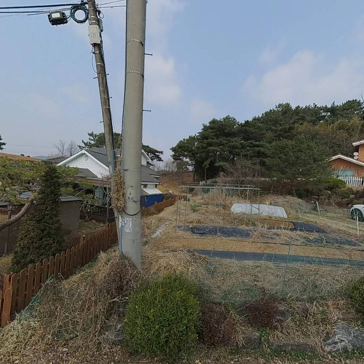다쏴 실리콘_3