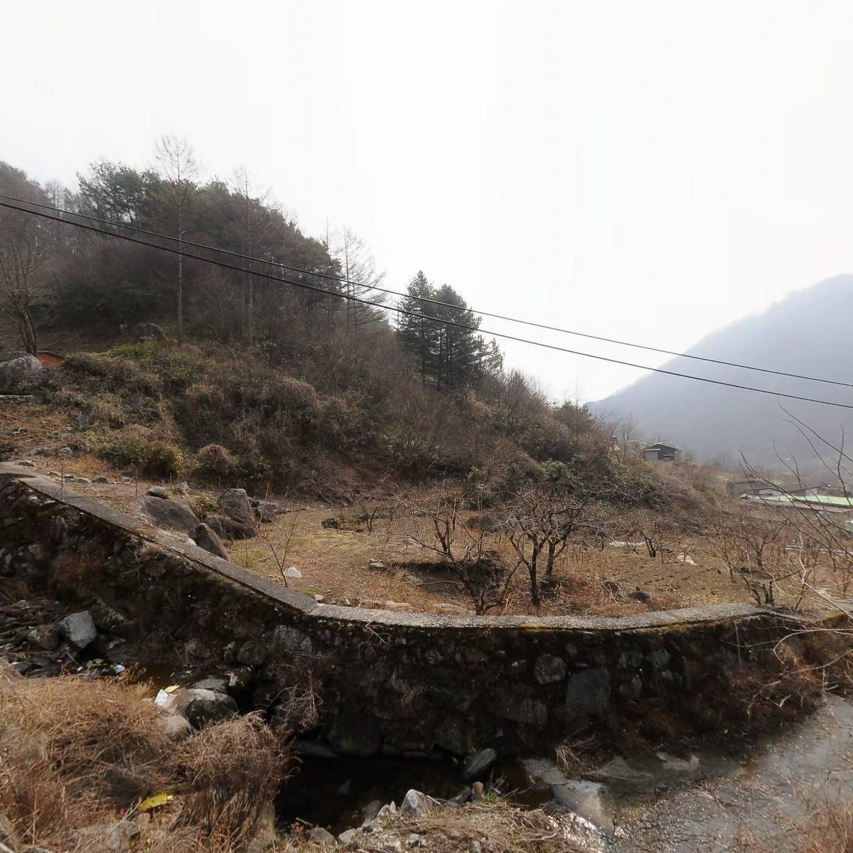 농업회사법인(주)순자연발효연구원