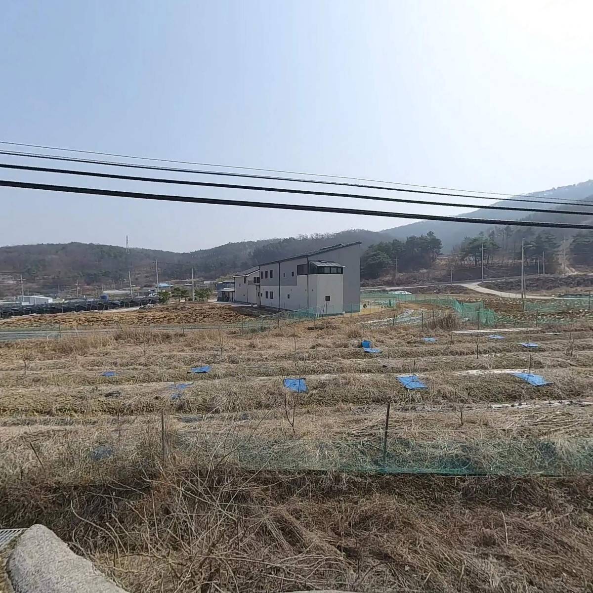 디앤퍼슨스