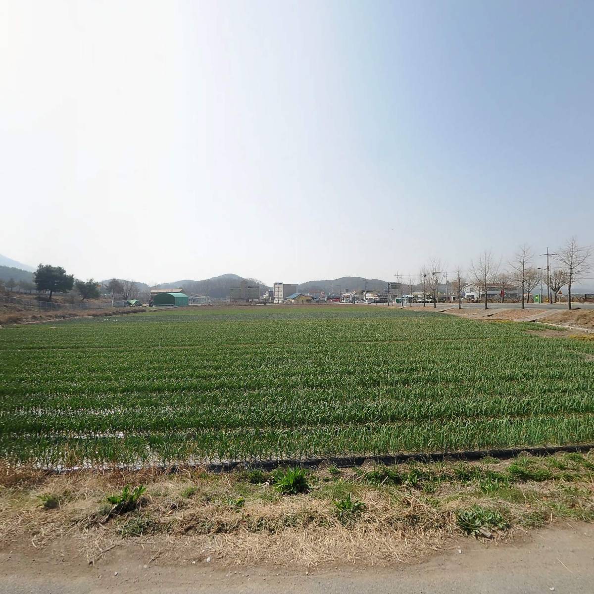 창녕힐마루 석이네한우뜰