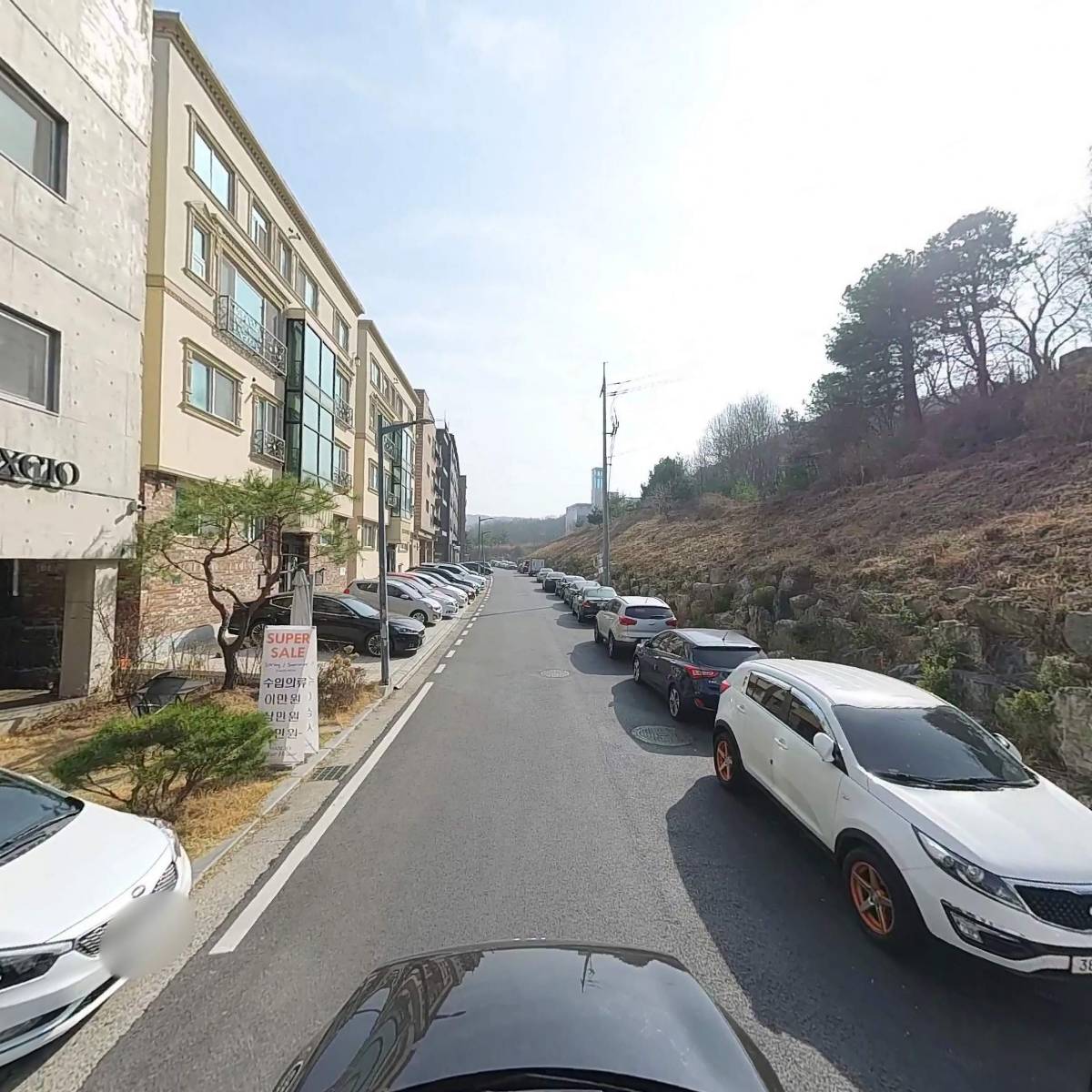 막스시오 도안_4