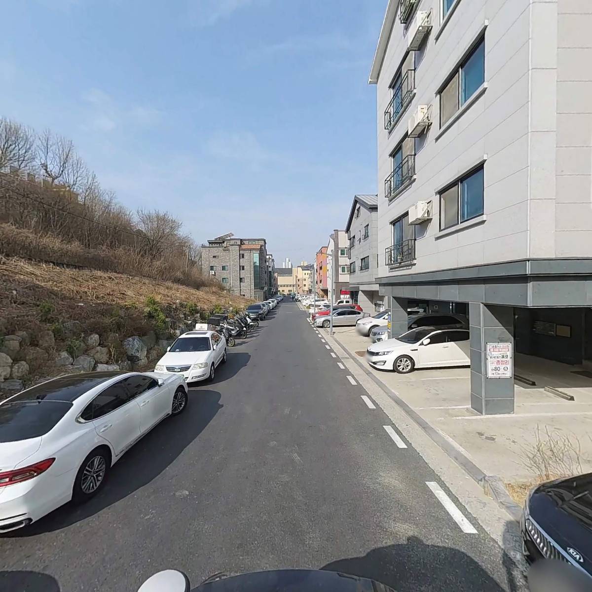 막스시오 도안_2