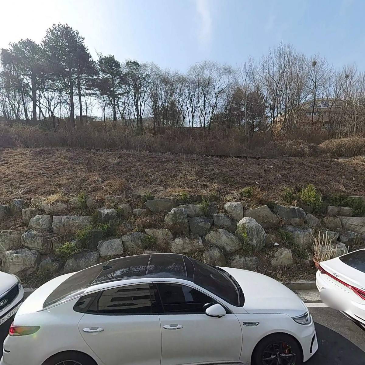 막스시오 도안