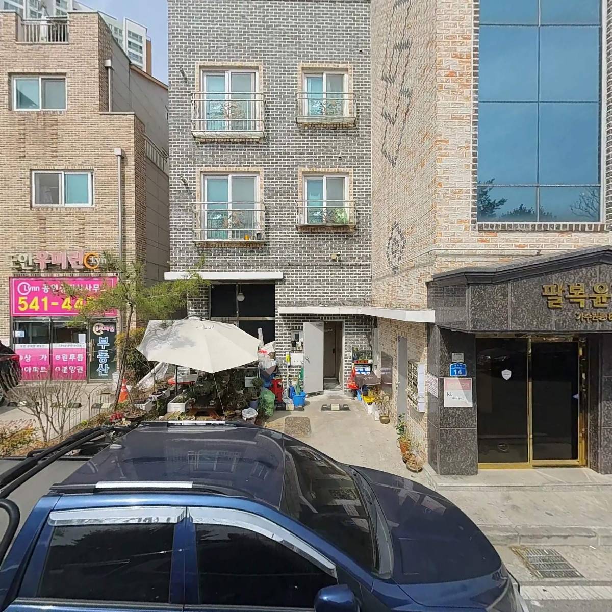 과일대통령_3