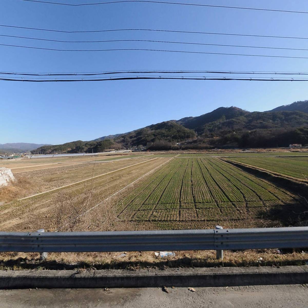 백두자원