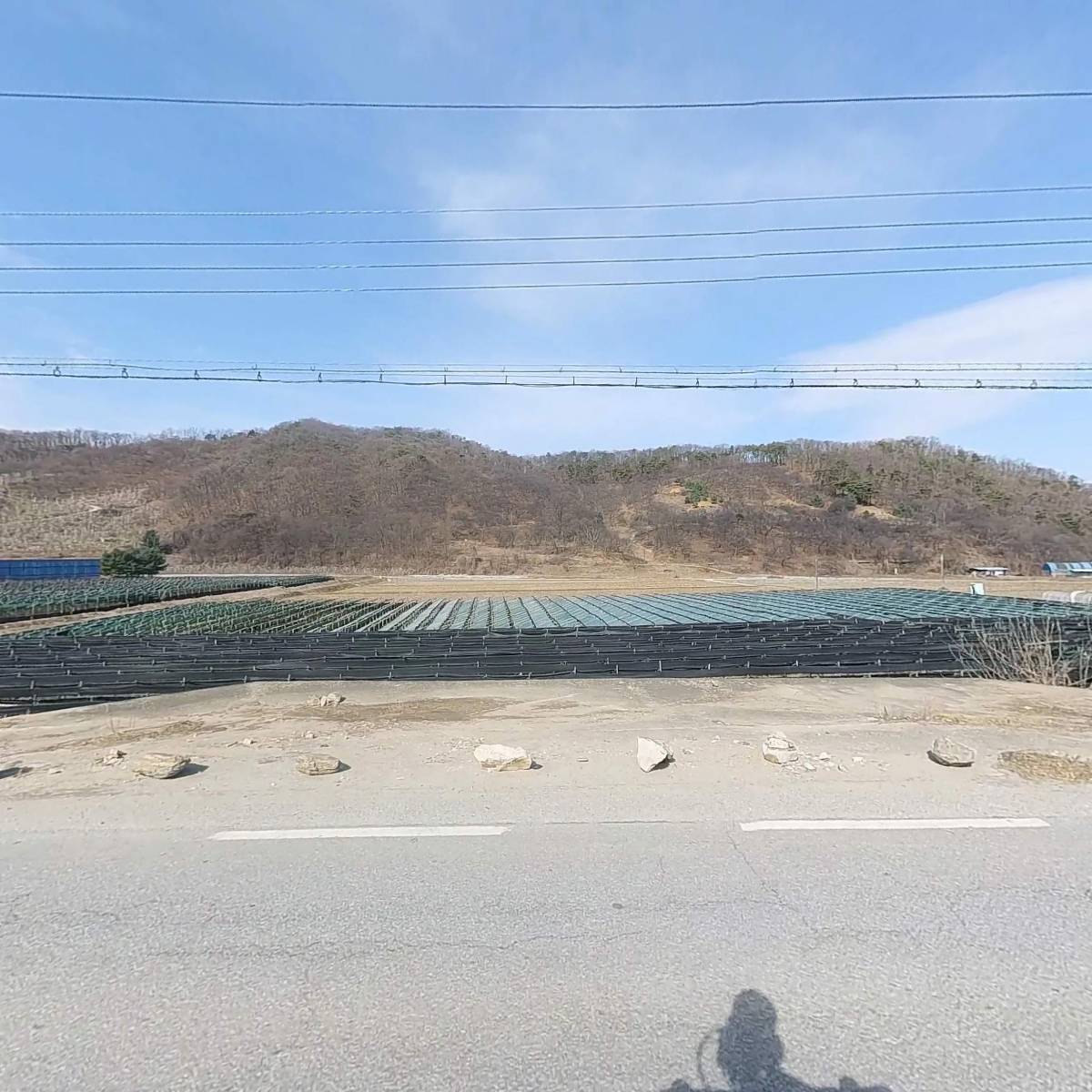 양지주유소_3